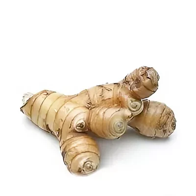 Thai Ada (Ginger Thai) ± 12 gm