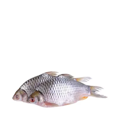 Deshi Sarputi Fish ±30 gm