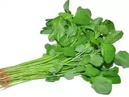 Data Shak (Data Spinach)