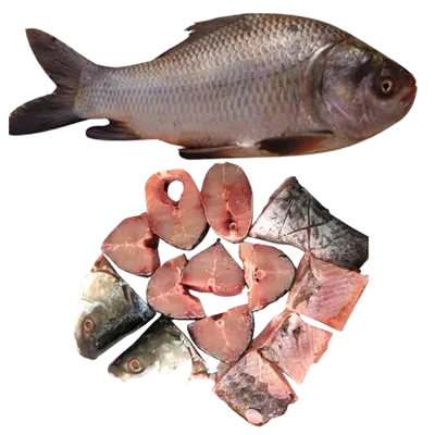 Catla Fish After Cutting ±70 gm