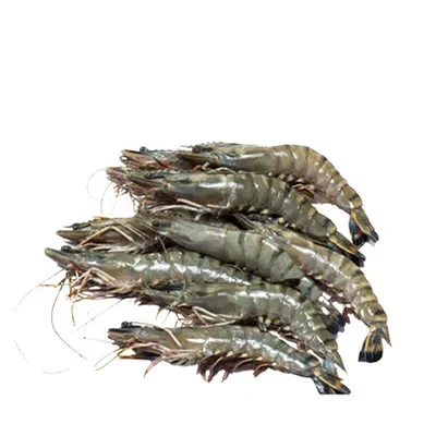 Bagda Chingri (Shrimp) 45-55 pcs ±30 gm